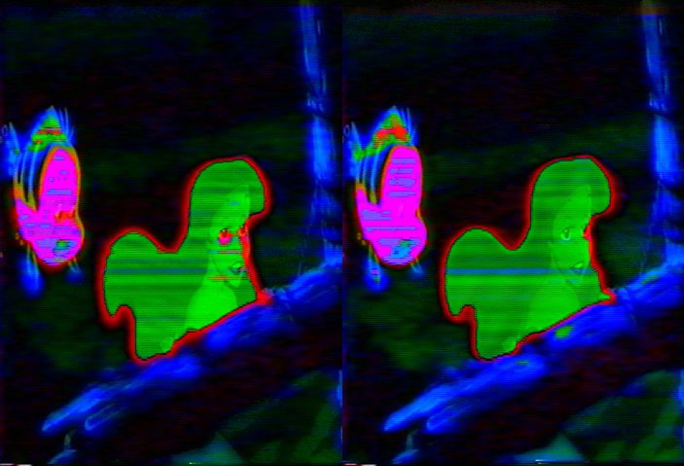 Macrovision_Example – Irdeto Perspective