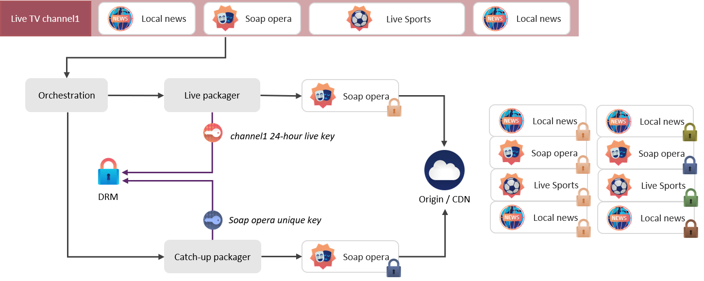 Live and catch-up parallel workflows